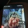 Rena Lambert - @rena.lambert7 - TikTok
