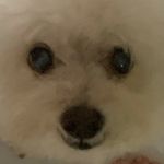 nana - @rena_lee__ - Instagram