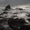 RenaLevy9658 - @renalevy9658 - TikTok