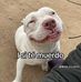 Rena Lopez - Facebook