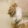 rena@Lopez - @renalopez71 - TikTok