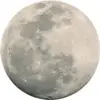Luna - @.lunarena - TikTok