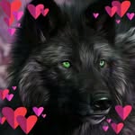 René Murray - @wolf_murray_ - Instagram
