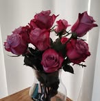 Renae Olson - Facebook