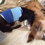 Rena Parker- Brademeyer - @banon446 - Instagram