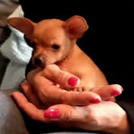 Renae Pennington - Facebook