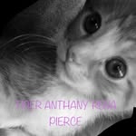 😻TIGER😻 - @tiger_ant_rena_pierce - Instagram