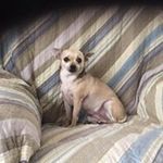 Rena N Zeke Swift - @renanzeke - Instagram