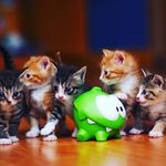 Rena_SwiftKey - @rena_swiftkey - Instagram