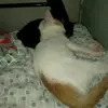 rena - @renatorres80 - TikTok