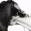 憂鬱用戶112233 - @lorenaweller - TikTok