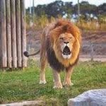 Rene Weller - @reneweller4622 - Instagram