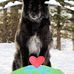 Rene Whitlock - Facebook