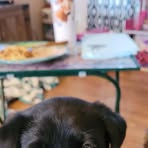 Rena Wilcox - Facebook