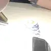 renae.wilcox - @renae.wilcox - TikTok