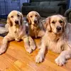 renawilcox171 - @renawilcox171 - TikTok
