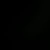 renatewilkerson02 - @renatewilkerson02 - TikTok