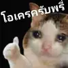 renawillis19965 - @renawillis19965 - TikTok