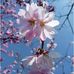 Rena Winn - Facebook