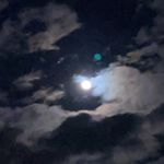 Brandi Rena Witt Schreck - @dinosaur_momma91 - Instagram