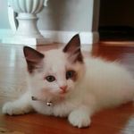 renawitt - @renawitt4805 - Instagram