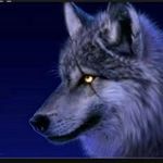 Rena Wolf - @rena.wolf.58910 - Instagram