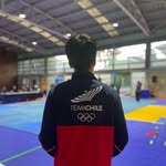 🦅⚡ - @rena.wushu_ - Instagram