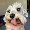 Renata zarate - @renata_zarate - TikTok