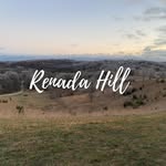 Renada.Hill - @renada.hill - Instagram