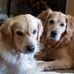 Renae Anderson - Facebook
