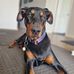 Renae Armstrong - Facebook