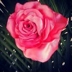 Renae Bailey Stoops - @clevercreationsandcustomdesign - Instagram