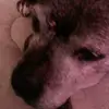 user7026266397653 - @renae_bateman_2000 - TikTok