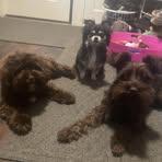 Renae Burns - Facebook