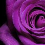 Renae Caudle - Facebook