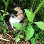 Renae Cox - @rockridgefarmstead - Instagram
