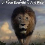 Renae Douglas - @wildlife6lb - Instagram