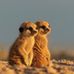 Renae Duncan - Facebook