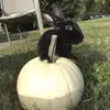 renaegeorge11_ - @renaegeorge11_ - TikTok