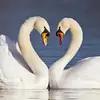 Renaegeorgeorgi - @user6222385078180 - TikTok
