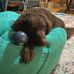 Renae Gibson - Facebook