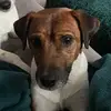 Renae Hamilton - @renae.hamilton1 - TikTok