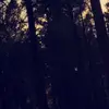 sammbammy - @renaeherrera5 - TikTok