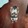 renaehicks738 - @renaehicks738 - TikTok