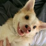 Renae keys - @keys_renae - Instagram
