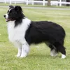 Renae.keys5 - @country.kid6 - TikTok