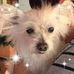 Renae Lamb - Facebook
