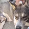 Renae Murphy - @renae.murphy44 - TikTok