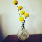 Renae Murphy - @renaemurphy865 - Instagram