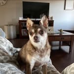 Renae Robertson Norman - @renae.np73 - Instagram